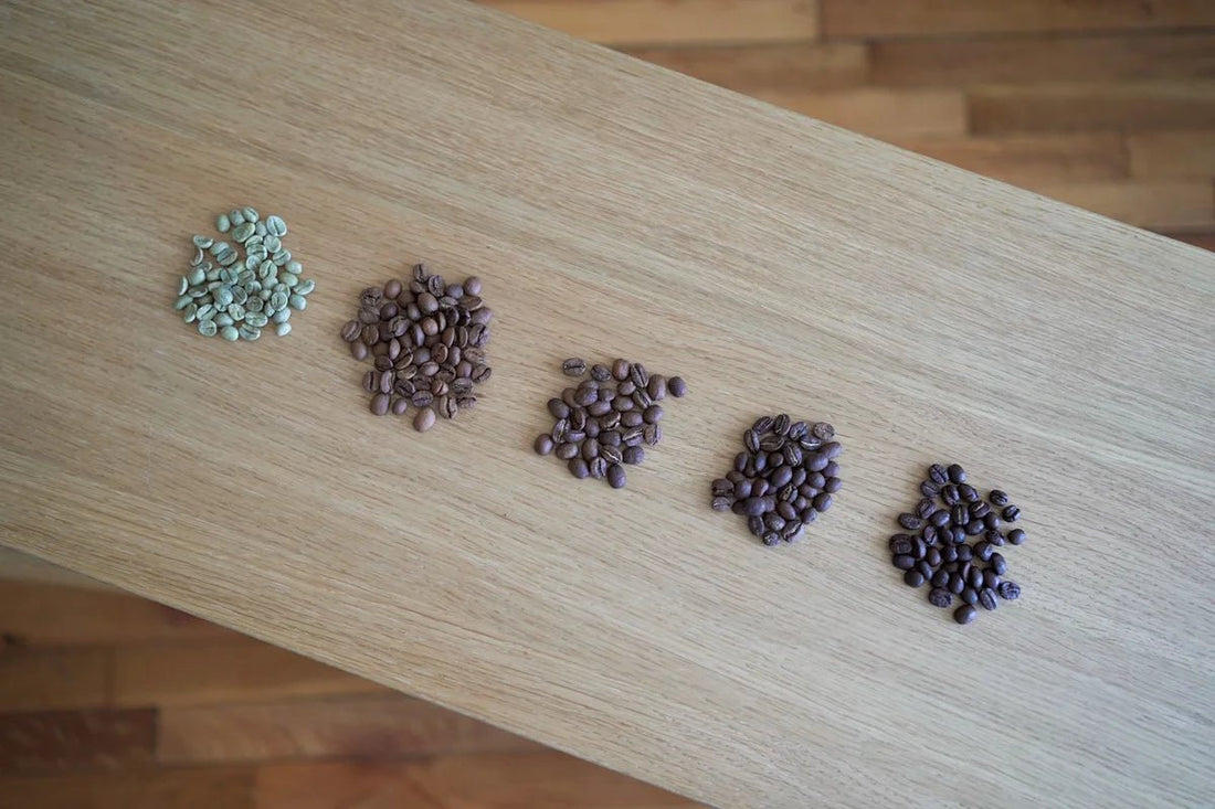 What is the Medium Roast Coffee? - Newbery St.
