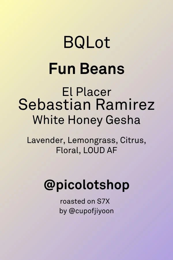 BRIAN QUAN X SEBASTIAN RAMIREZ GESHA WHITE HONEY - Newbery St.