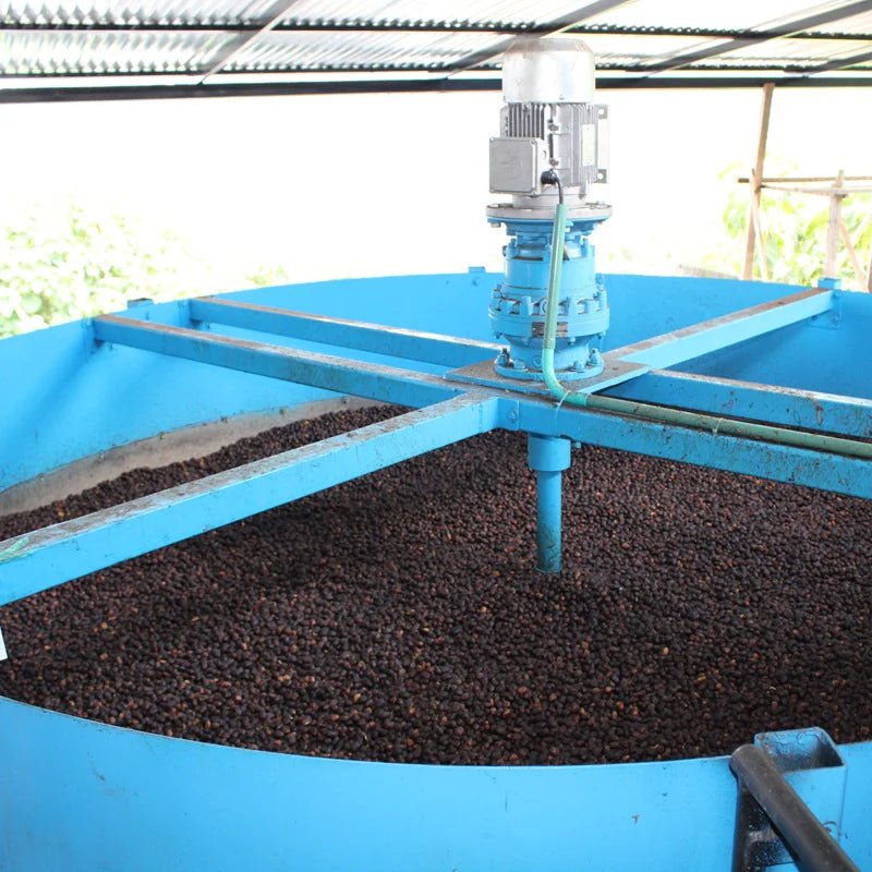 El Vergel Decaf Natural - Newbery St.