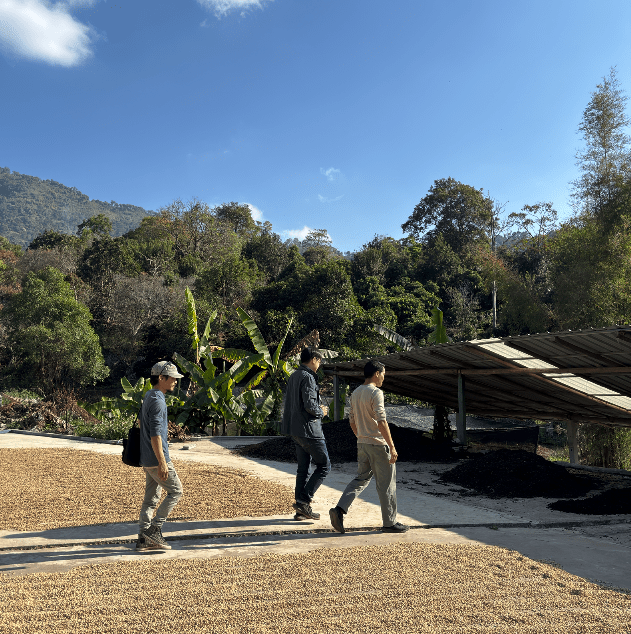 NAWIN DOI CHANG WASHED - Newbery St.