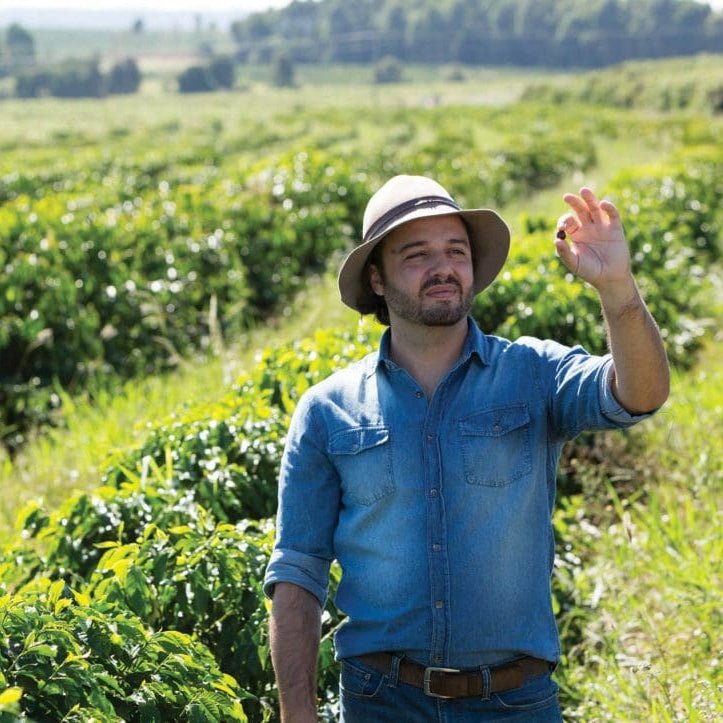 Pau Brasil - Newbery St.