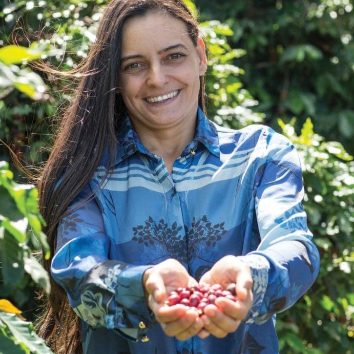 Pau Brasil - Newbery St.