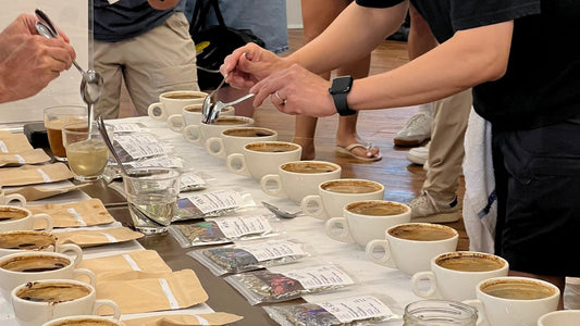 Bringing Thai Coffee to the World Stage: Our Cup of Excellence Thailand 2026 Cupping Experiences - Newbery St.