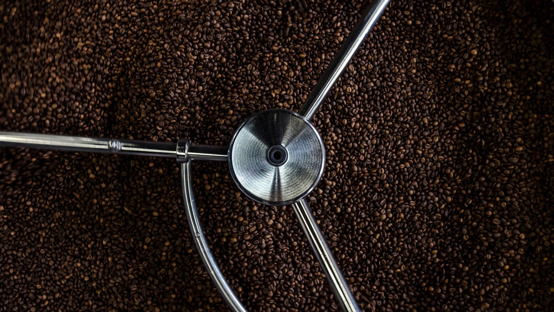 Top 5 Specialty Coffee Roasters in Greater Boston - Newbery St.
