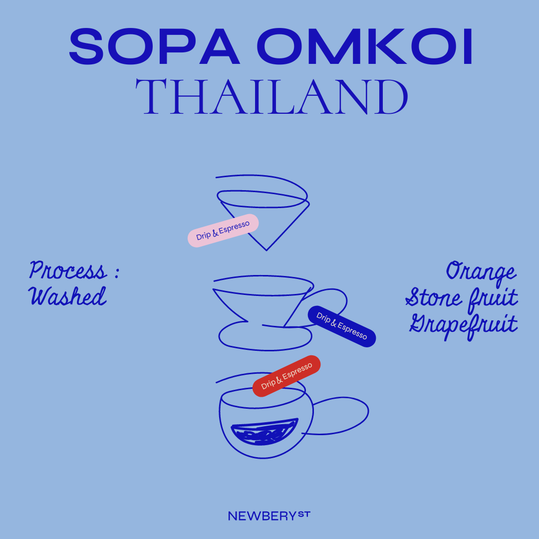 Sopa Omkoi