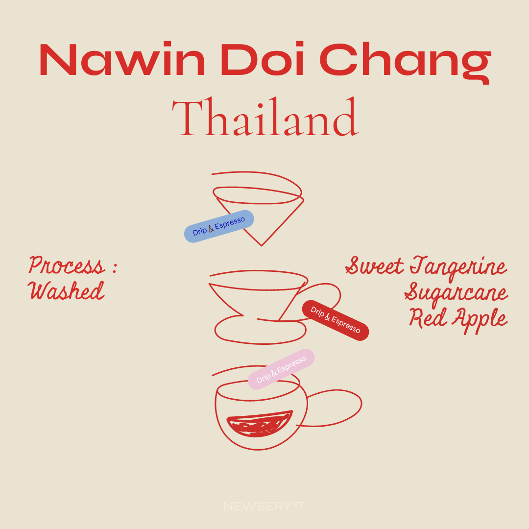 Nawin Doi Chang