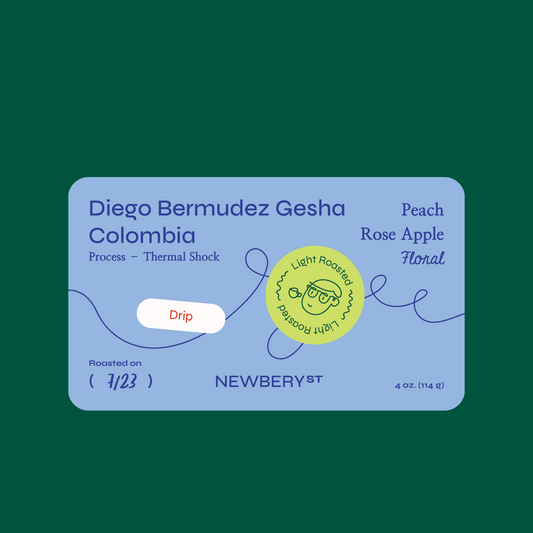 Diego Bermudez Gesha