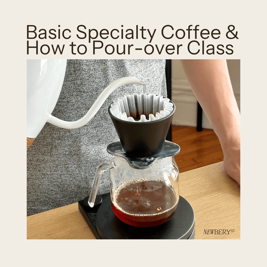 Basic Specialty Coffee & How to Pour - over Class - Newbery St.