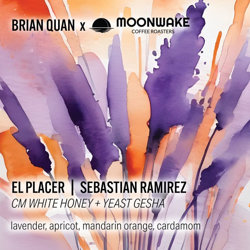 BRIAN QUAN X SEBASTIAN RAMIREZ GESHA WHITE HONEY - Newbery St.