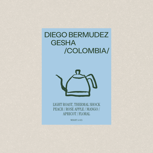 Diego Bermudez Gesha - Newbery St.