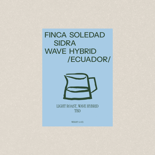 FINCA SOLEDAD SIDRA WAVE HYBRID - Newbery St.