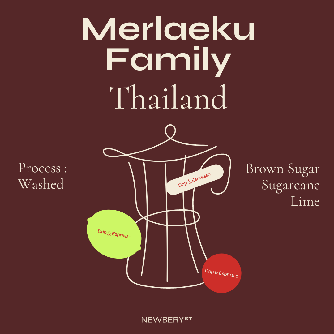 Merlaeku Family - Newbery St.