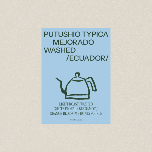 PUTUSHIO TYPICA MEJORADO WASHED - Newbery St.