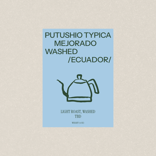 PUTUSHIO TYPICA MEJORADO WASHED - Newbery St.