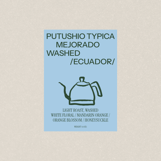 PUTUSHIO TYPICA MEJORADO WASHED - Newbery St.